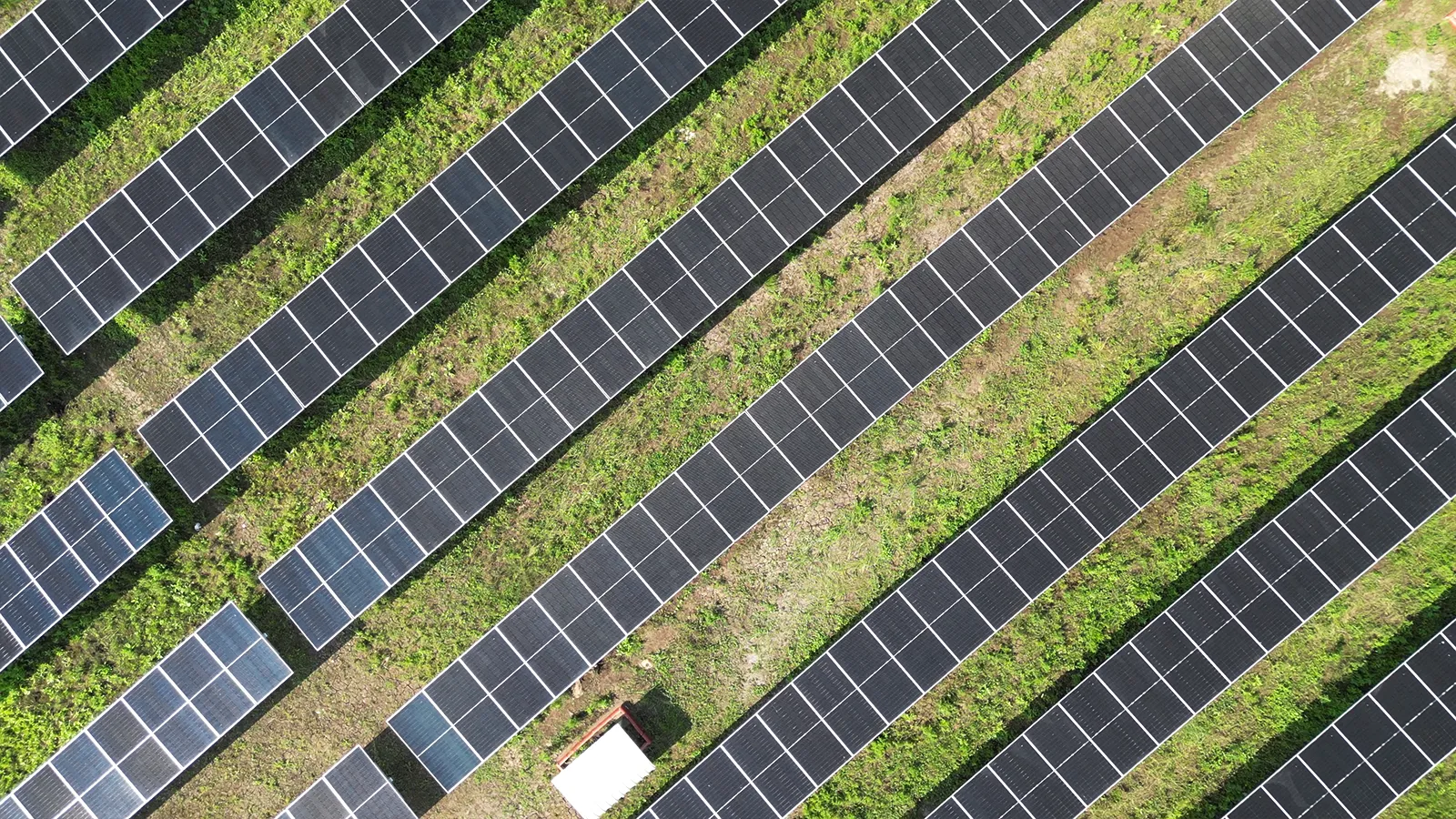 Rajuvadiya Solar Park - Solar Project 10