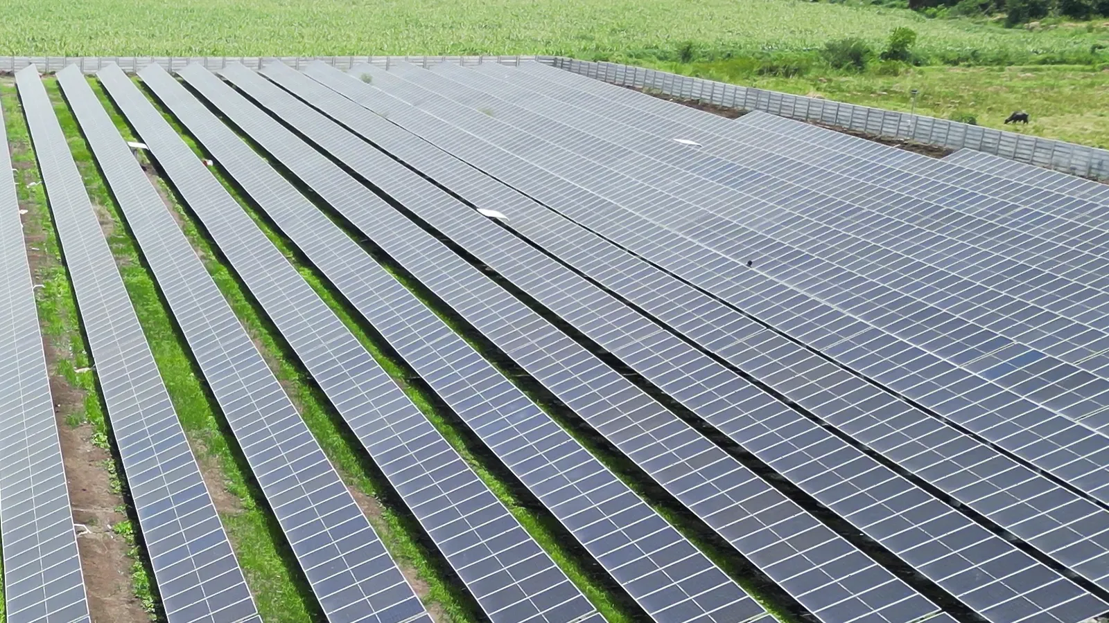 Velachha Solar Park - Solar Project 9