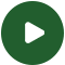Rayzon Green Testimonial Video Play Icon